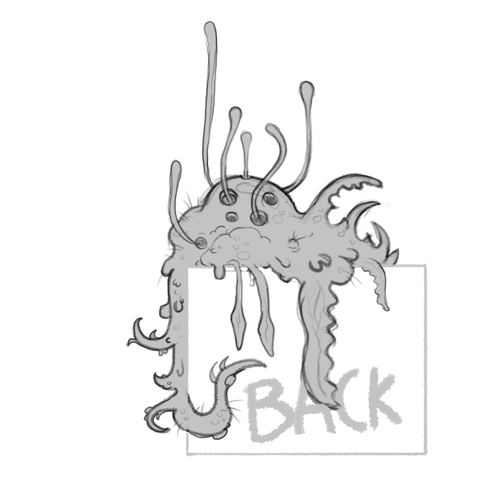 back